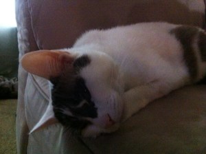 Photo Oct 02, 11 48 17 AM